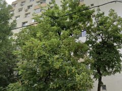 Obor, Colentina, Teiul Doamnei aproape metrou Obor